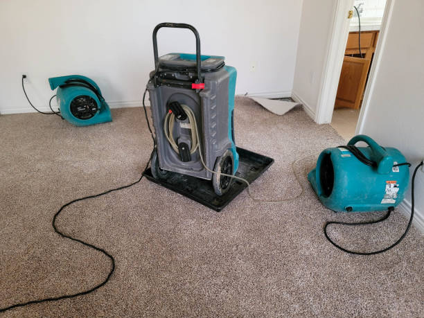 Best Water damage restoration near me  in Powell, AL