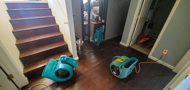 Best Water damage restoration experts  in Powell, AL