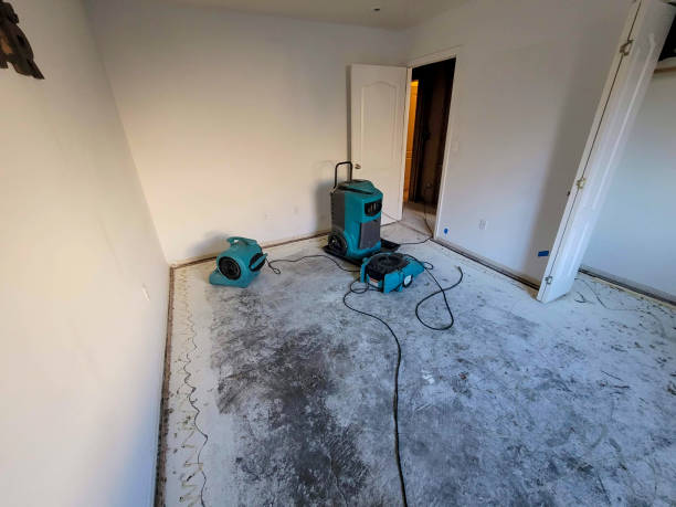 Best Water damage contractors near me  in Powell, AL