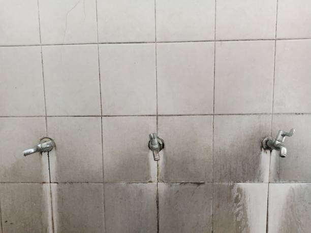Best Flood restoration services  in Powell, AL