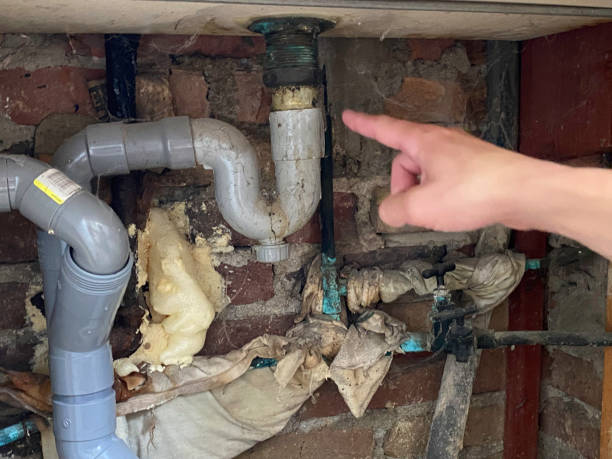 Best Water damage restoration near me  in Powell, AL