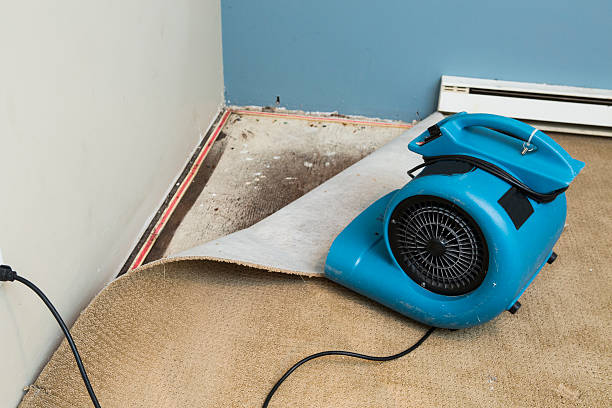 Best Sewage cleanup and water damage restoration  in Powell, AL